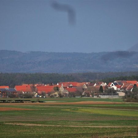 Ferien-Messe-Handwerkerwohnung-Haustiere Willkommen Lauf an der Pegnitz Kültér fotó